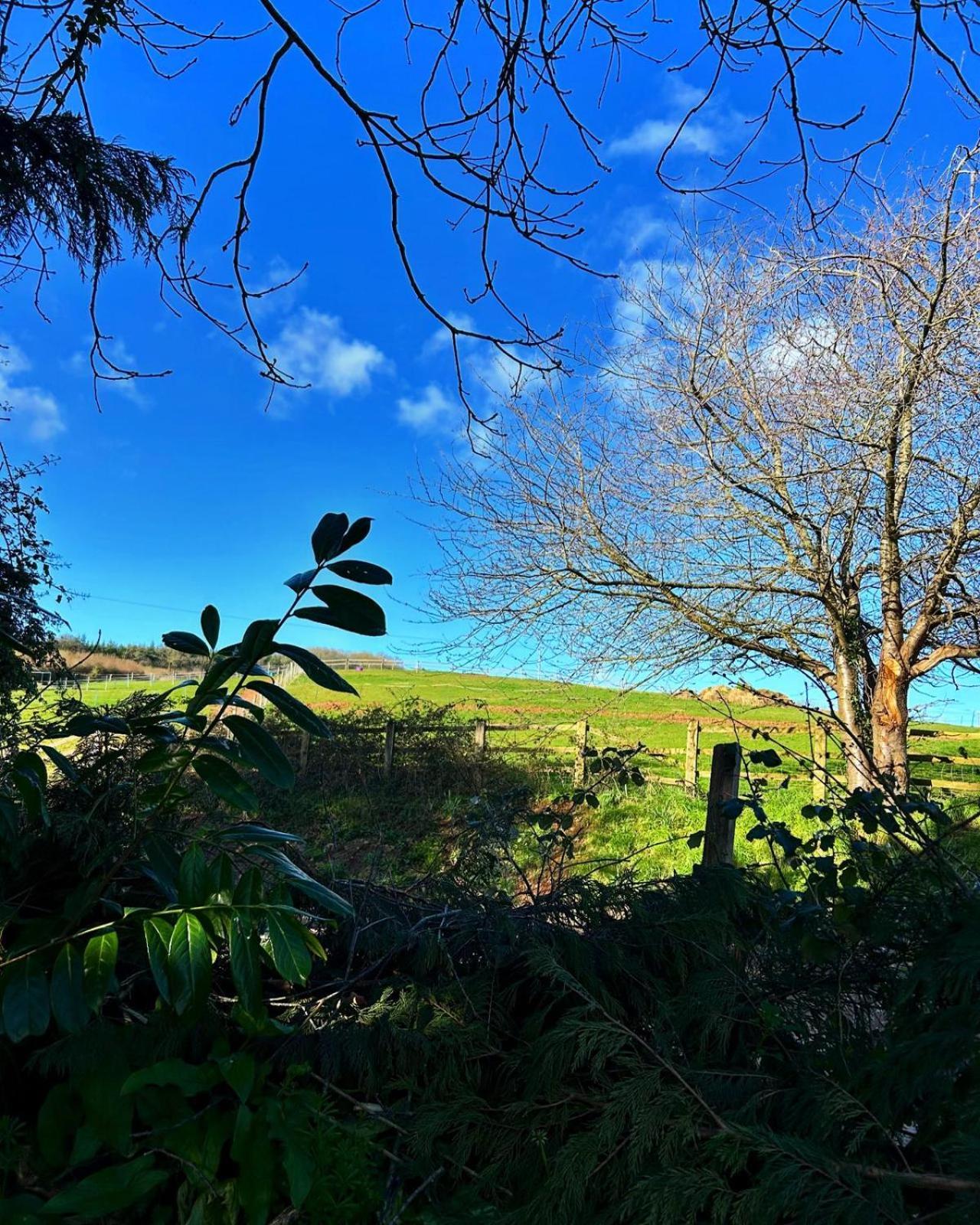 Sundial Cottage Newton Abbot Ngoại thất bức ảnh